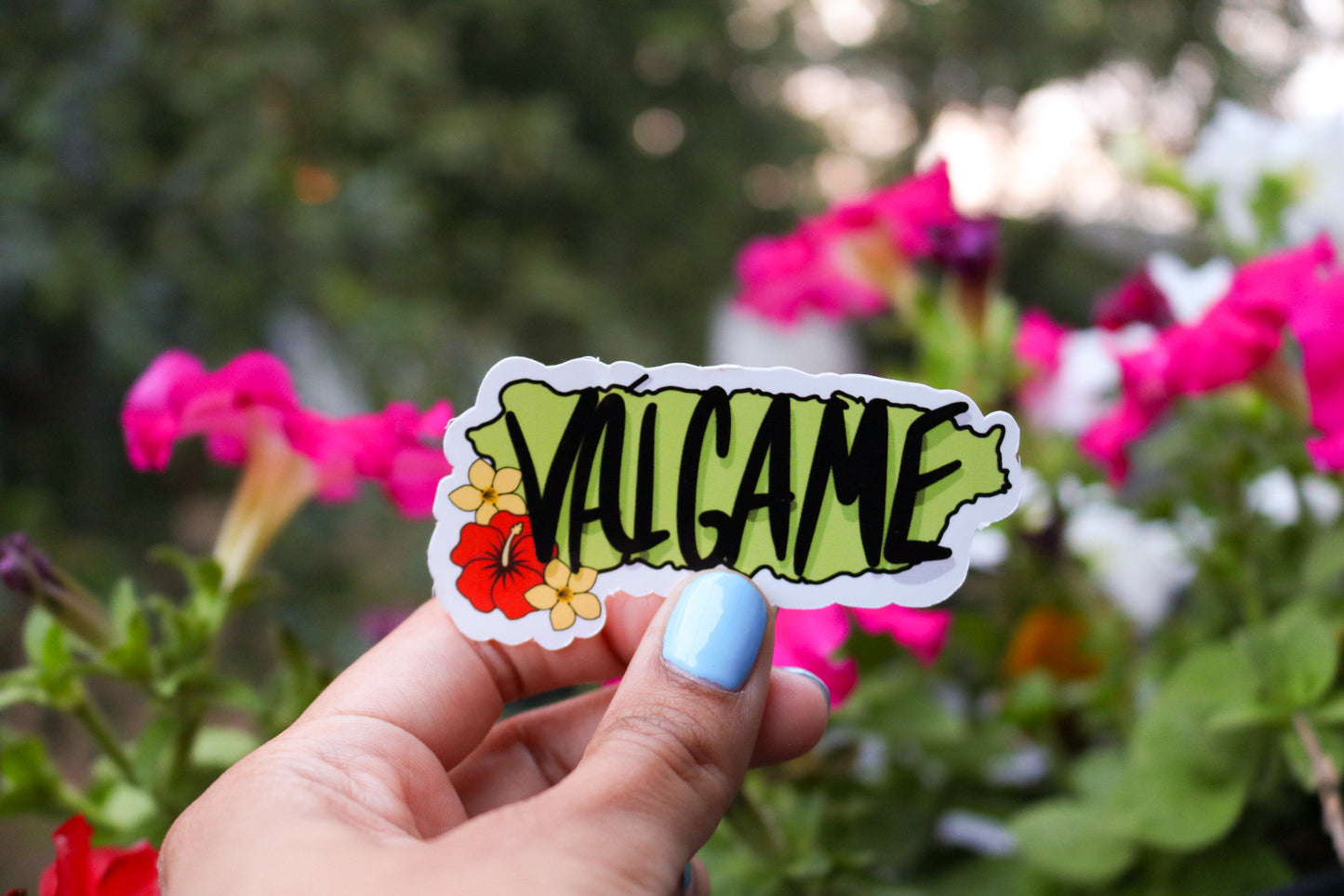 Válgame