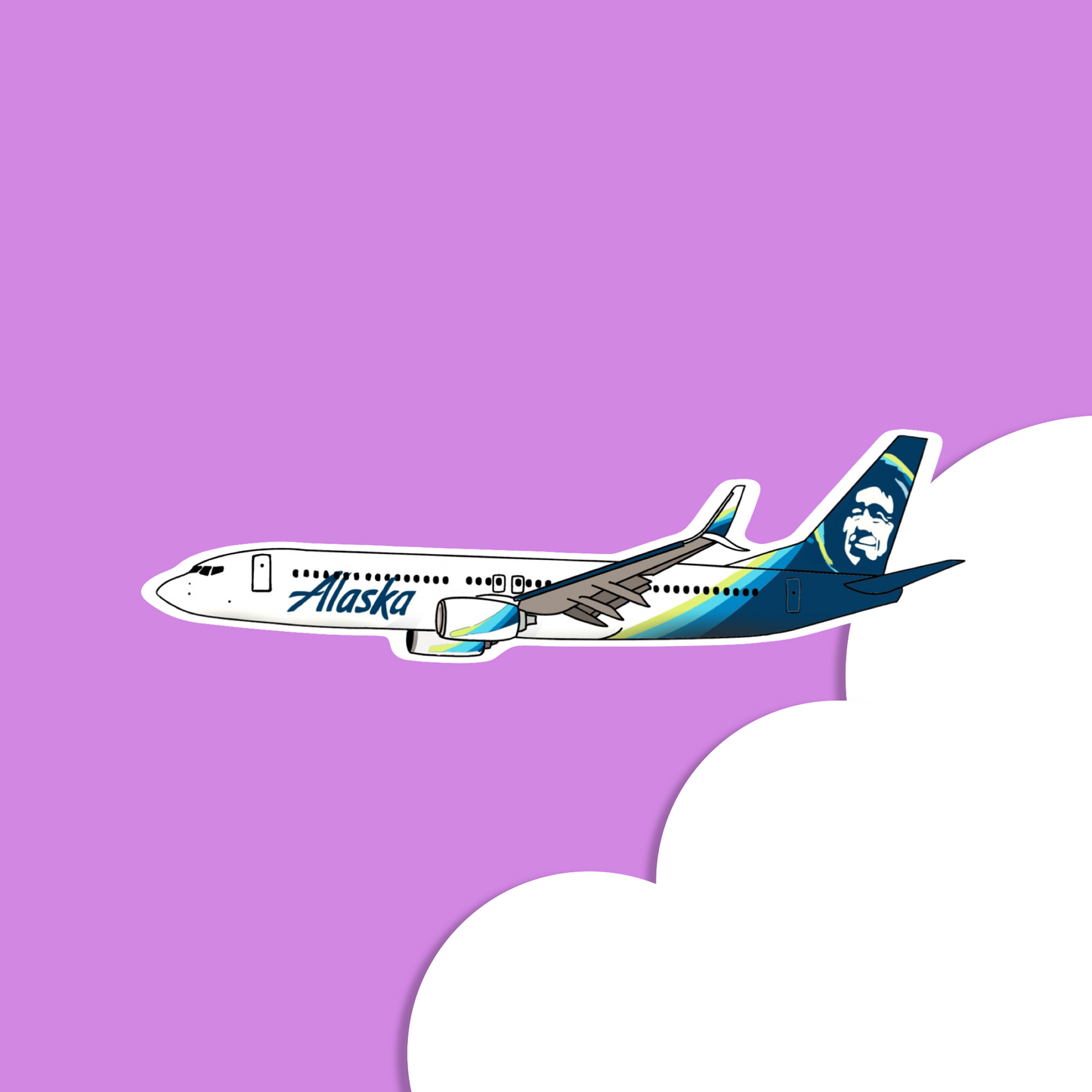 Alaska 737 Boeing Aircraft